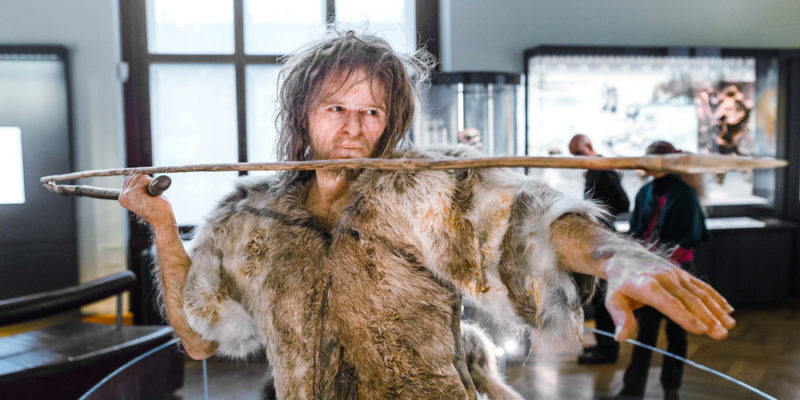 Hay algo que no cuadra