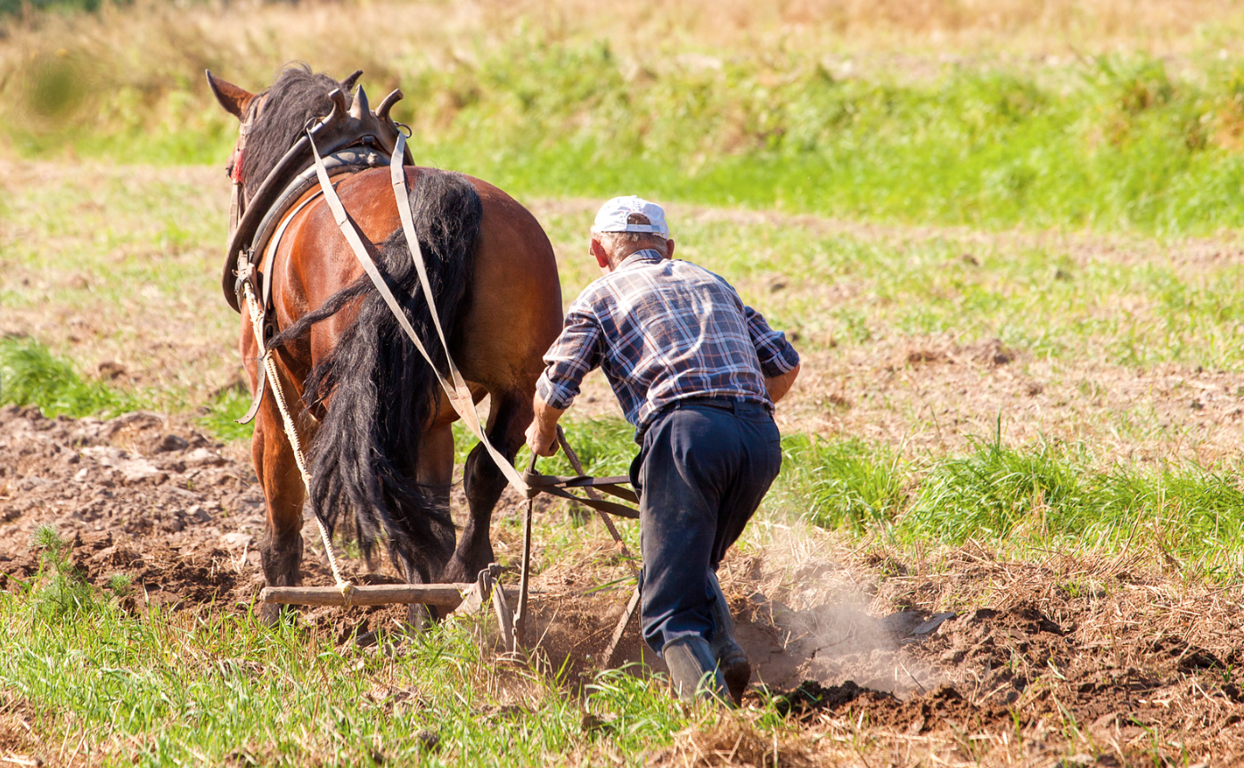 ¿Buena suerte? ¿Mala suerte? Quién sabe